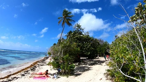 GX010333 Stock Footage 111387677