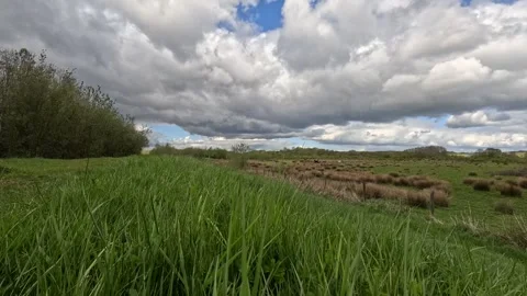 GX010375 库存影片 333075925