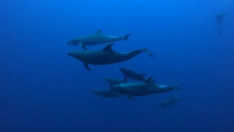 GX013215 Stock-Footage 234151253