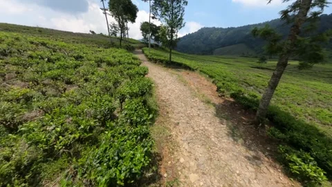 GX013329 1313972 Stock Footage 319553997