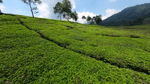 GX013329 1315508 Stock Footage 319555348