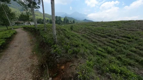 GX013329 stabilized1317632 Stock Footage 319556635