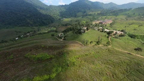 GX013331 1477027 Stock Footage 319558095