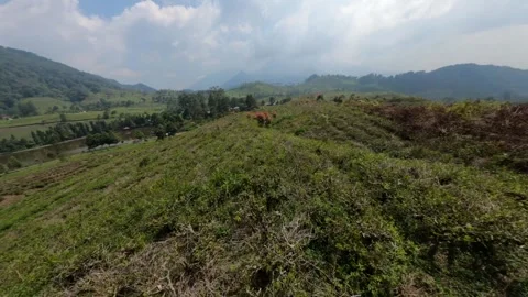 GX013331 1483053 Stock Footage 319608680