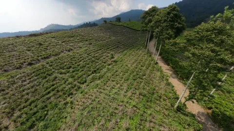 GX013331 joined stabilized1482212 Stock Footage 319615704
