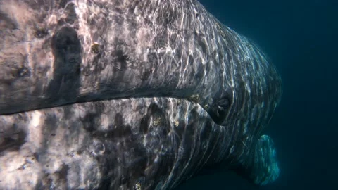 GX014172 Stock-Footage 234150944