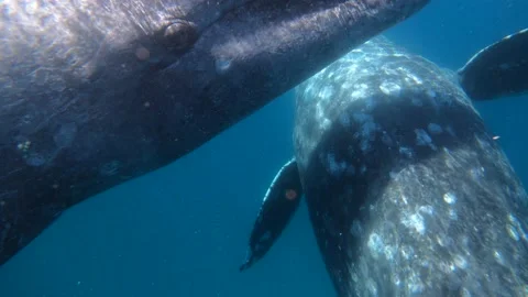 GX014174 Stock-Footage 234150970