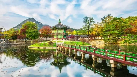 Gyeongbukgung Palace, Maple Leaf Maple Leaves in the fall of Kore Stock Footage 77409854
