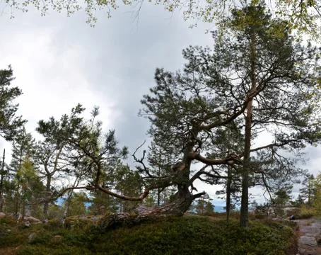 Gygrestolen Stock Photos