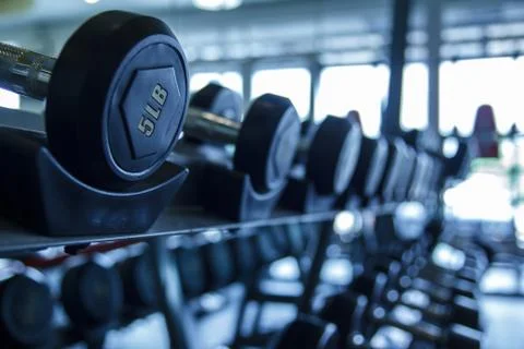 Gym weights Stock Photos