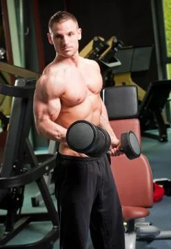 Gym workout. Stock Photos