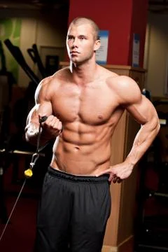 Gym workout. Stock Photos