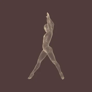 Gymnast. 3D Model of Man. Human Body Model. 库存插图