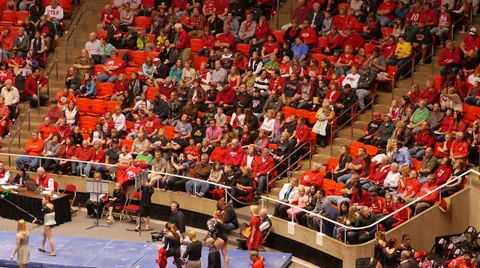 Gymnastic crowd 動画素材 36254705