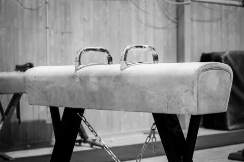 Gymnastic equipment Stock Photos