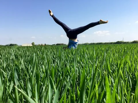 Gymnastic pose in the wheat field Stock Photos