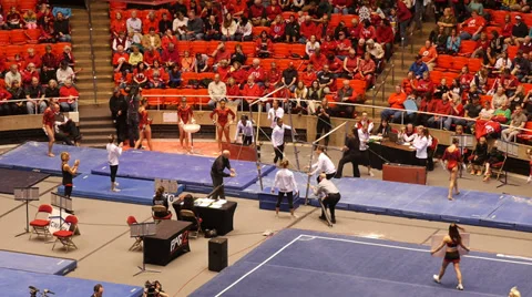 Gymnastic uneven bars 動画素材 36275196