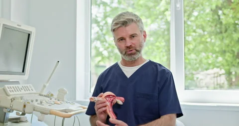 A gynecologist explaining the female reproductive system using an anatomical Stock Footage 276367222