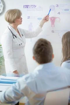 Gynecologist explaining in vitro process Stock Photos
