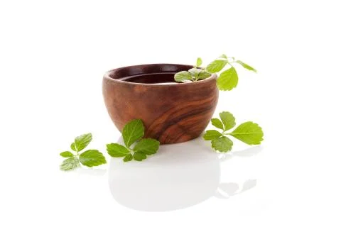 Gynostemma pentaphyllum, jiaogulan. Stock Photos