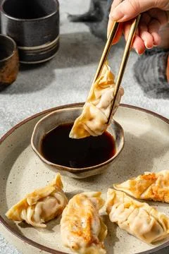 Gyoza 스톡 사진