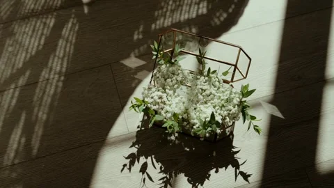 Gypsophila in Gold Glass Box With Window Shadows on Floor Stock Footage 347057053