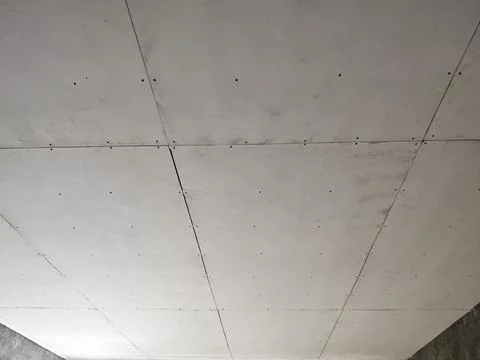 Gypsum Board Ceiling Panel Pattern With Construction Fasteners Foto stock