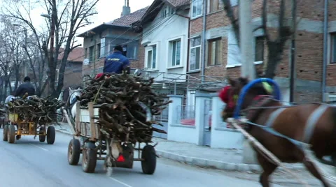 Gypsy Camp in Action Wood Stock Footage 44950508