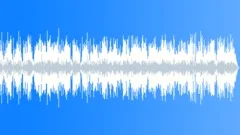Gypsy Jazz with Violin Solo, Well-produced Background Music for Lifts Stock Music