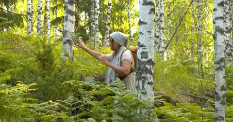 Gypsy walking through Foliage Filled Ancient Forest  Stock Footage 233388833