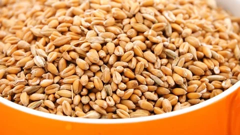 Gyration Not cracked wheat in an orange cup close-up. Stock Footage 126610176