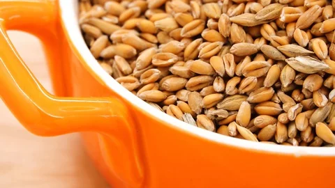 Gyration Not cracked wheat in an orange cup close-up. Stock Footage 127791920