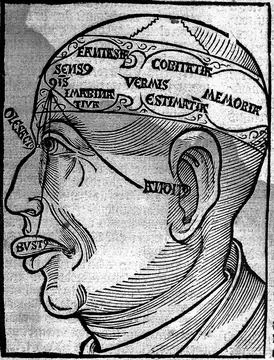 H. Brunschwig, Nervous system: cell doctrine in "The noble esperyence of th.. Stock Illustration