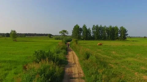 H green Stock Footage 134502669