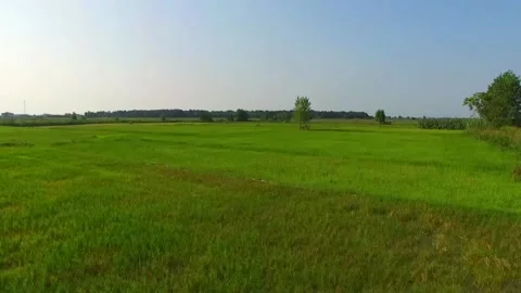 H green2 Stock Footage 134502682