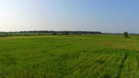 H green3 Stock Footage 134502624