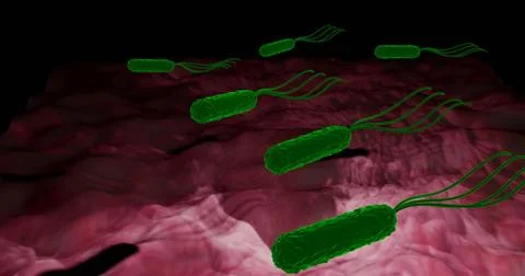 H. pylori Illustrazione stock