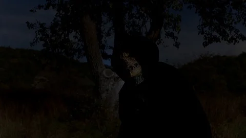 H3nslow Stock Footage 118303350