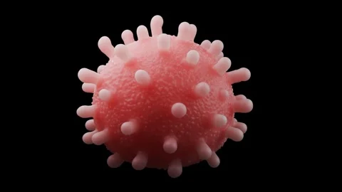 H5n1 virus Vidéo 284048333