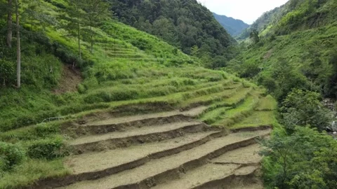 Ha Gaing Valley 4k Stock Footage 221665288