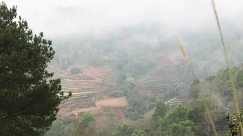 Ha giang loop fields in fog. Stock Footage 305533579