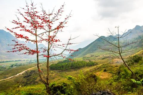 Ha Giang, north extreme loop, North Vietnam, the northern loop Stock Photos
