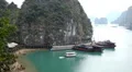 Ha Long Bay (Descending Dragon Bay), Vietnam, UNESCO World Heritage Site, Boats HD Footage