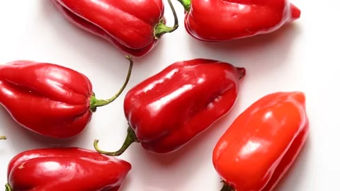 Habanero chilis on turn table Stock Footage 170820004