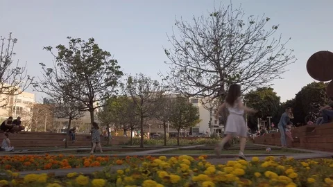 Habima garden Stock Footage 117139260