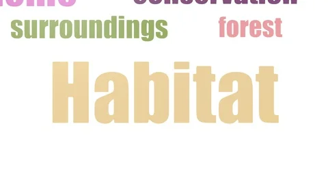 Habitat Animated Tag Cloud Isolated Stock Footage 103095133