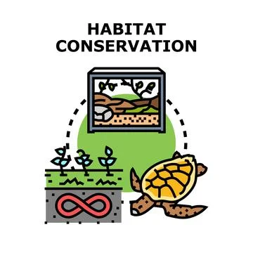 Habitat conservation concept with turtle and ecosystem illustration Illustrazione stock