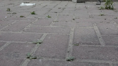 Habitat pollution problem. Used gloves at the parking near supermarket.  Stock Footage 128603864