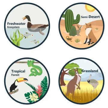 Habitats of the World vector set Stock Illustration