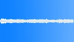 Habor ambience with sea gull stereoSound Effect